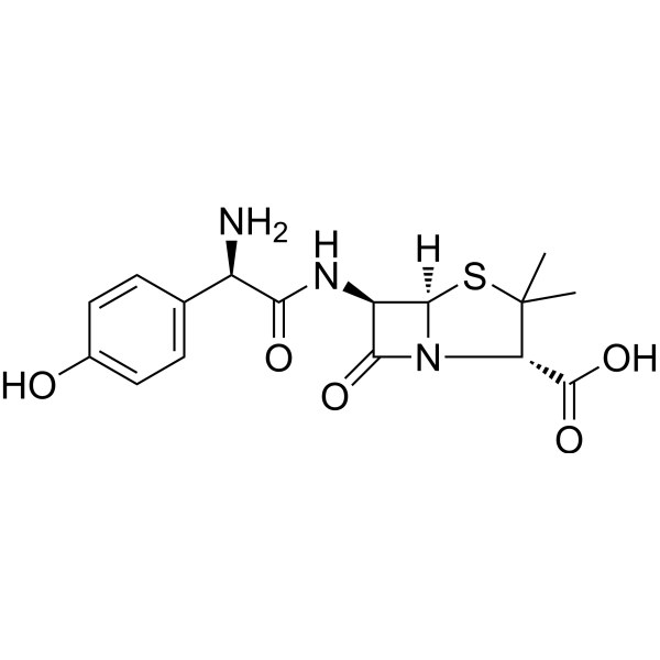 <p>Class 1 penicillin; alpha-amino and para-hydroxy groups provide acid stability.</p>