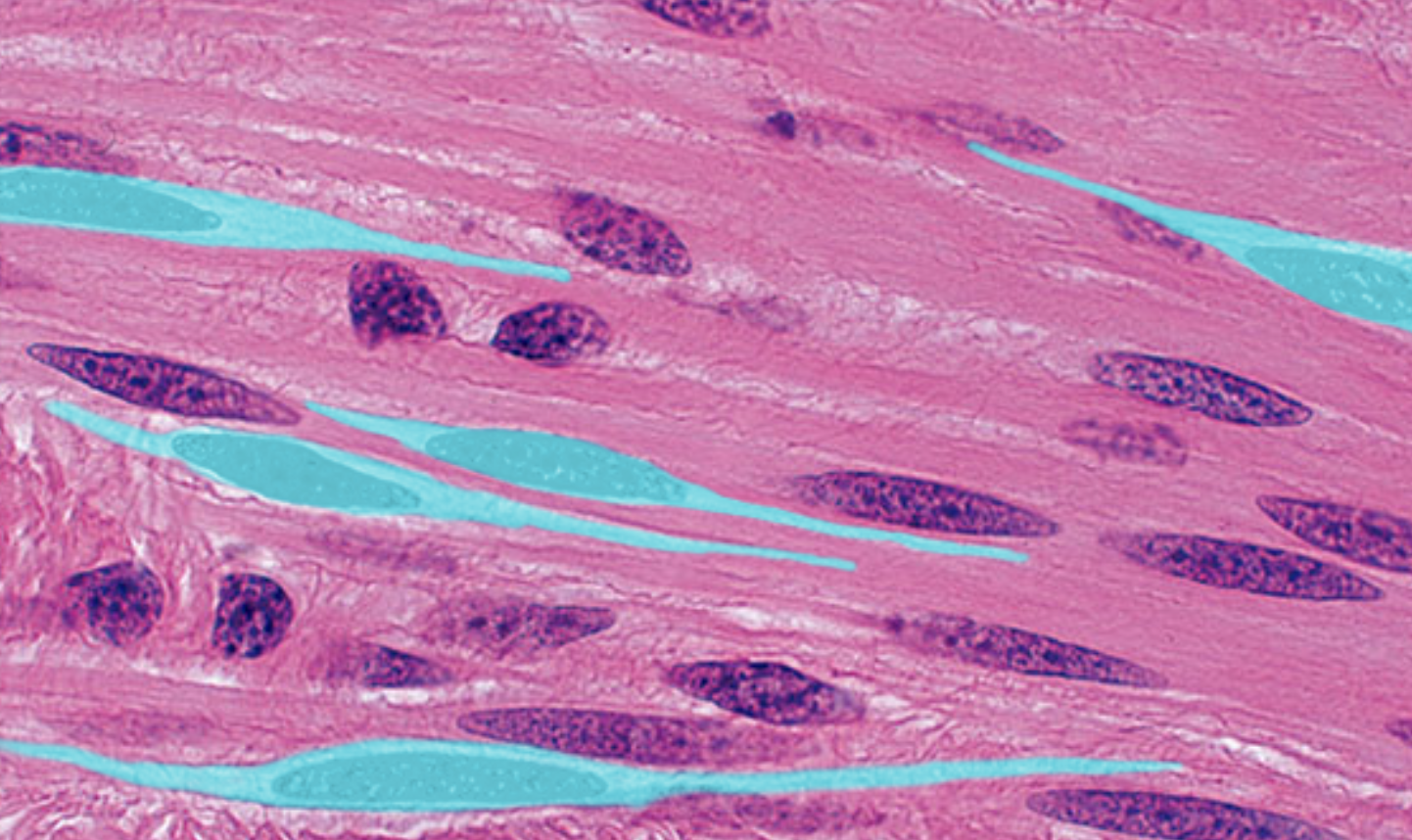 <p>What is highlighted</p>