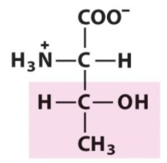 <p>Ethyl + Alcohol</p>
