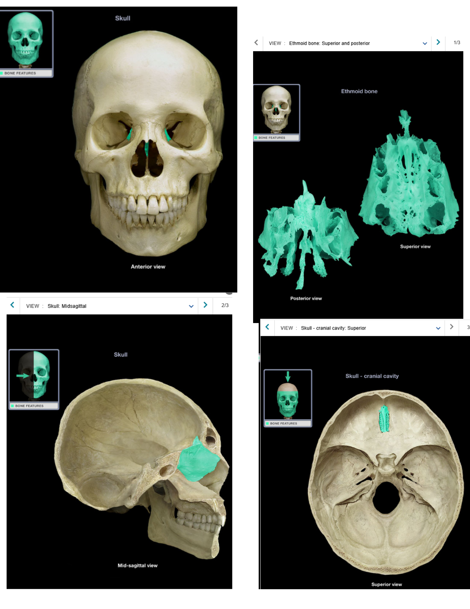 knowt flashcard image