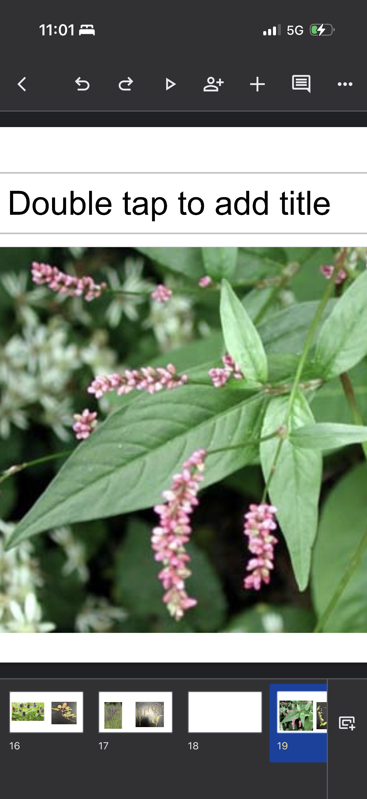 knowt flashcard image