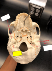 knowt flashcard image