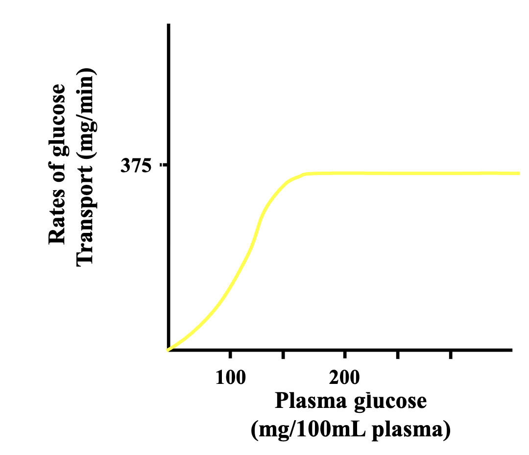 <p>If concentration gradient increases, more ions flow through channel, eventually all channels are flowing at maximum capacity so :</p>