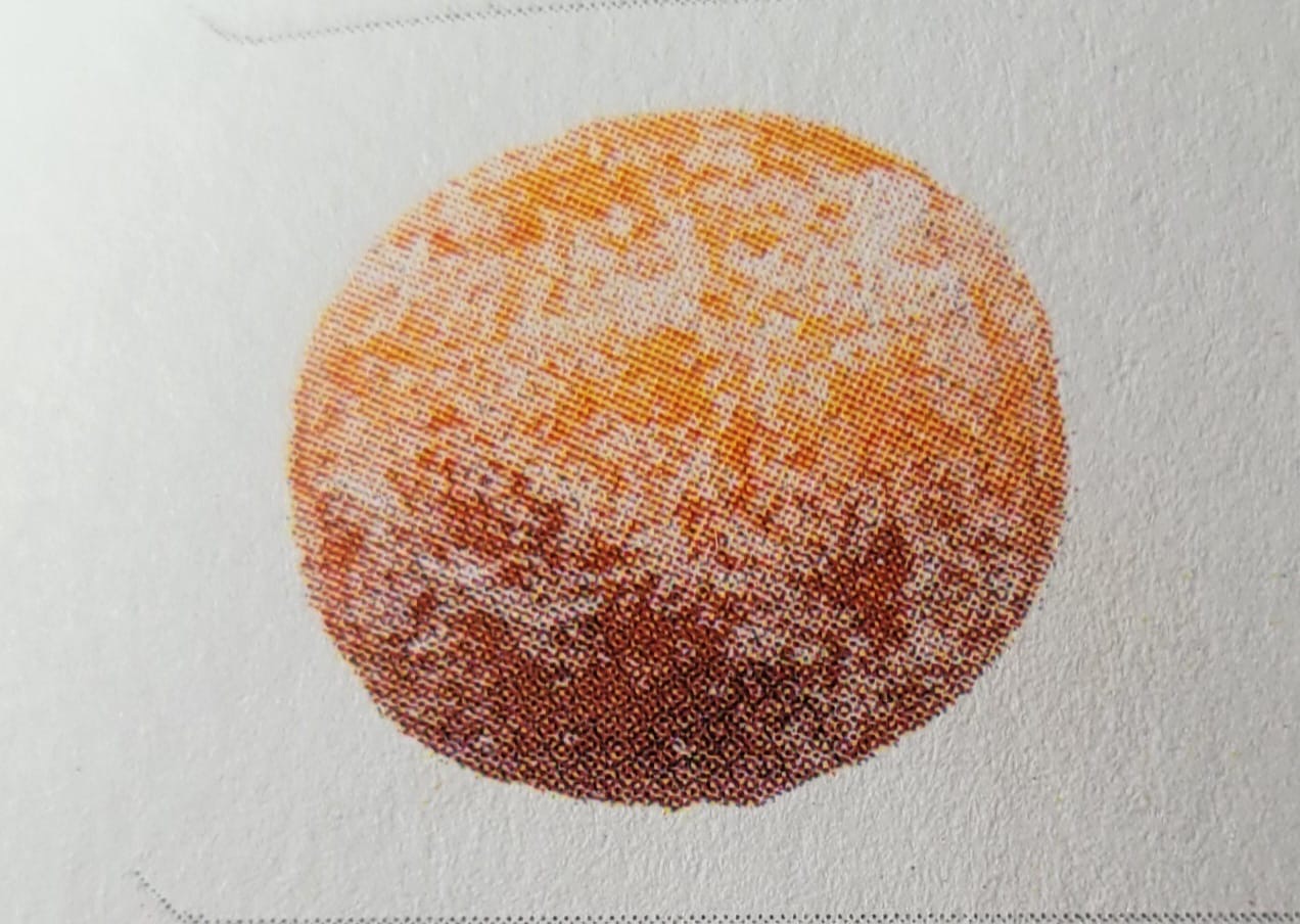 term image