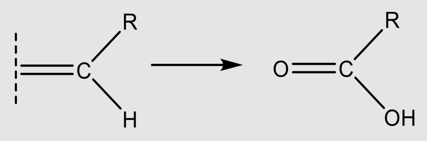 <p>OXIDATIVE CLEAVEAGEGGE ALEKEN</p>