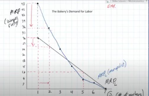 <p>in a monopoly, MRP falls at a ________ rate than with the perfect competitor</p>