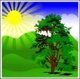 <p>het is mooi weer</p>