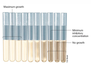 <p>for determination of MIC where no turbidity is detected in the tube containing the agent</p>