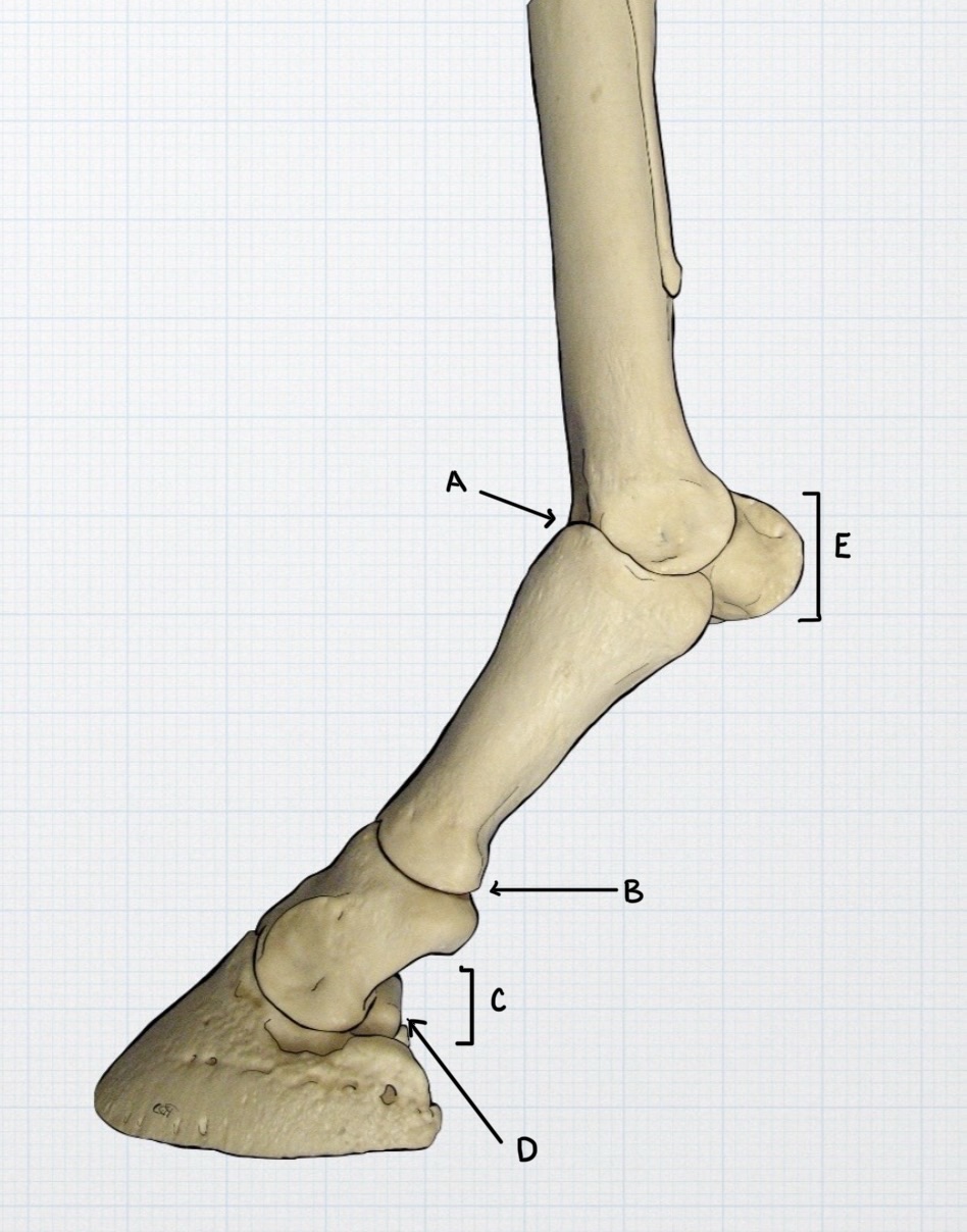 <p>Identify each part </p>