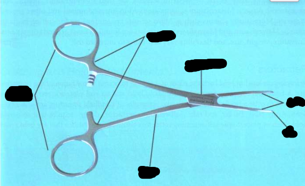 <p>Anatomy of a Clamp</p>