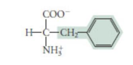 <p>hydrophobic</p>
