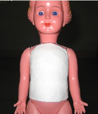 <p><span>lower thoracic and lower lumbar</span></p>