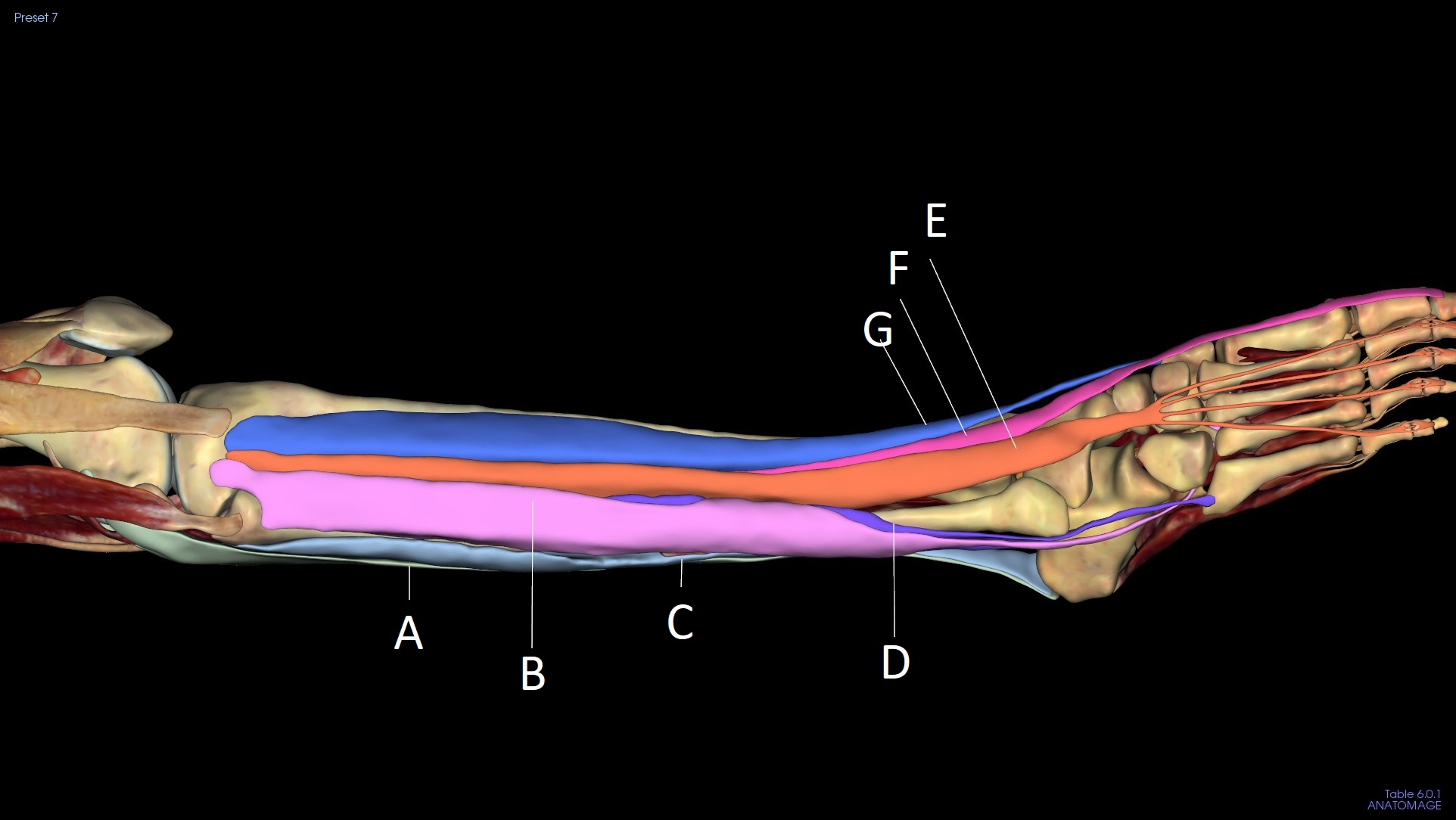 <p>A</p>