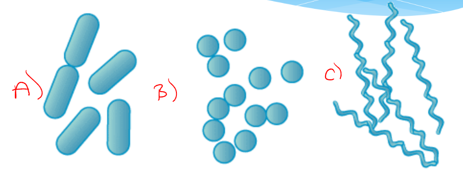 <p>a</p>