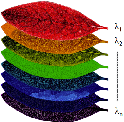 <p>Spectral imaging process</p>