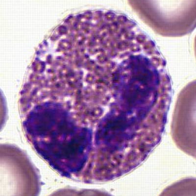<p>2</p>