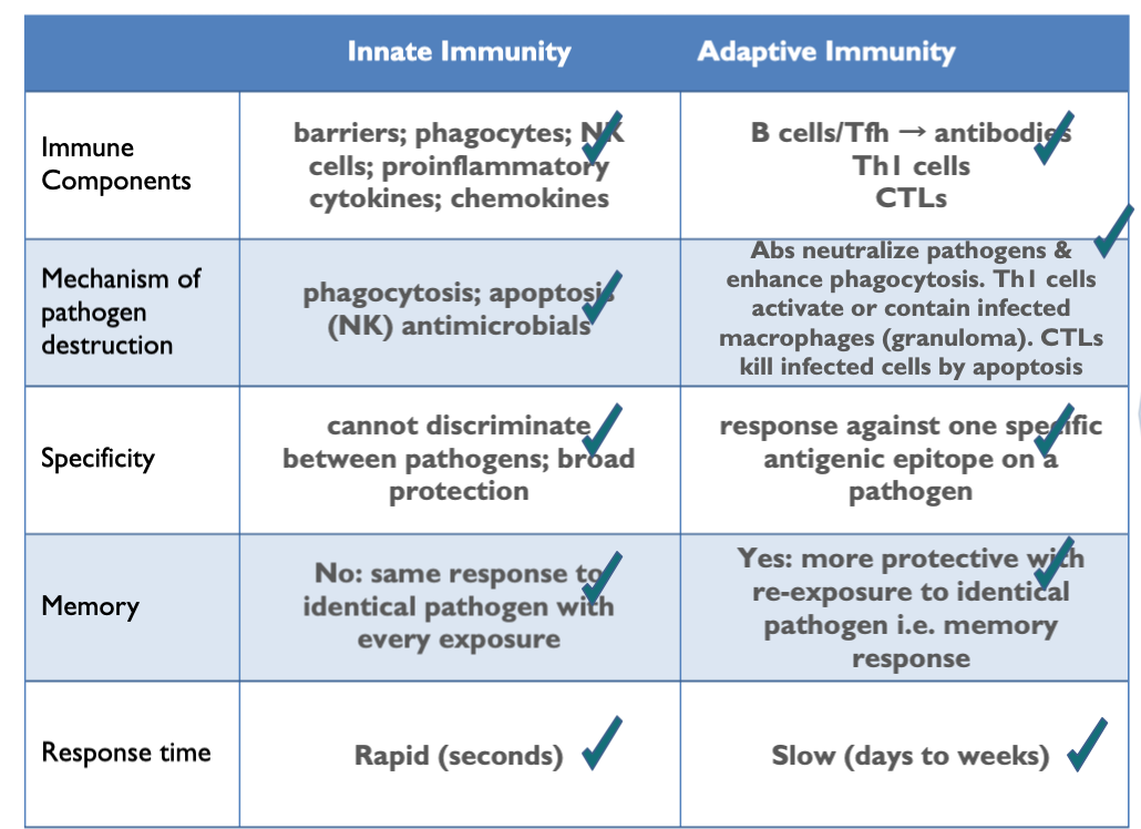 <ul><li><p>has 2 systems to protect against pathogens</p></li></ul><ol><li><p>innate immune system</p><ol><li><p>barriers - 1st line of defence</p></li><li><p>innate cells - 2nd line of defence</p></li></ol></li><li><p>adaptive immune system</p><ol><li><p>B lymphocytes (humoral)</p></li><li><p>T lymphocytes (cell-mediated)</p></li></ol></li></ol><p></p>