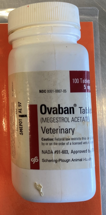 <p>Ovaban</p>