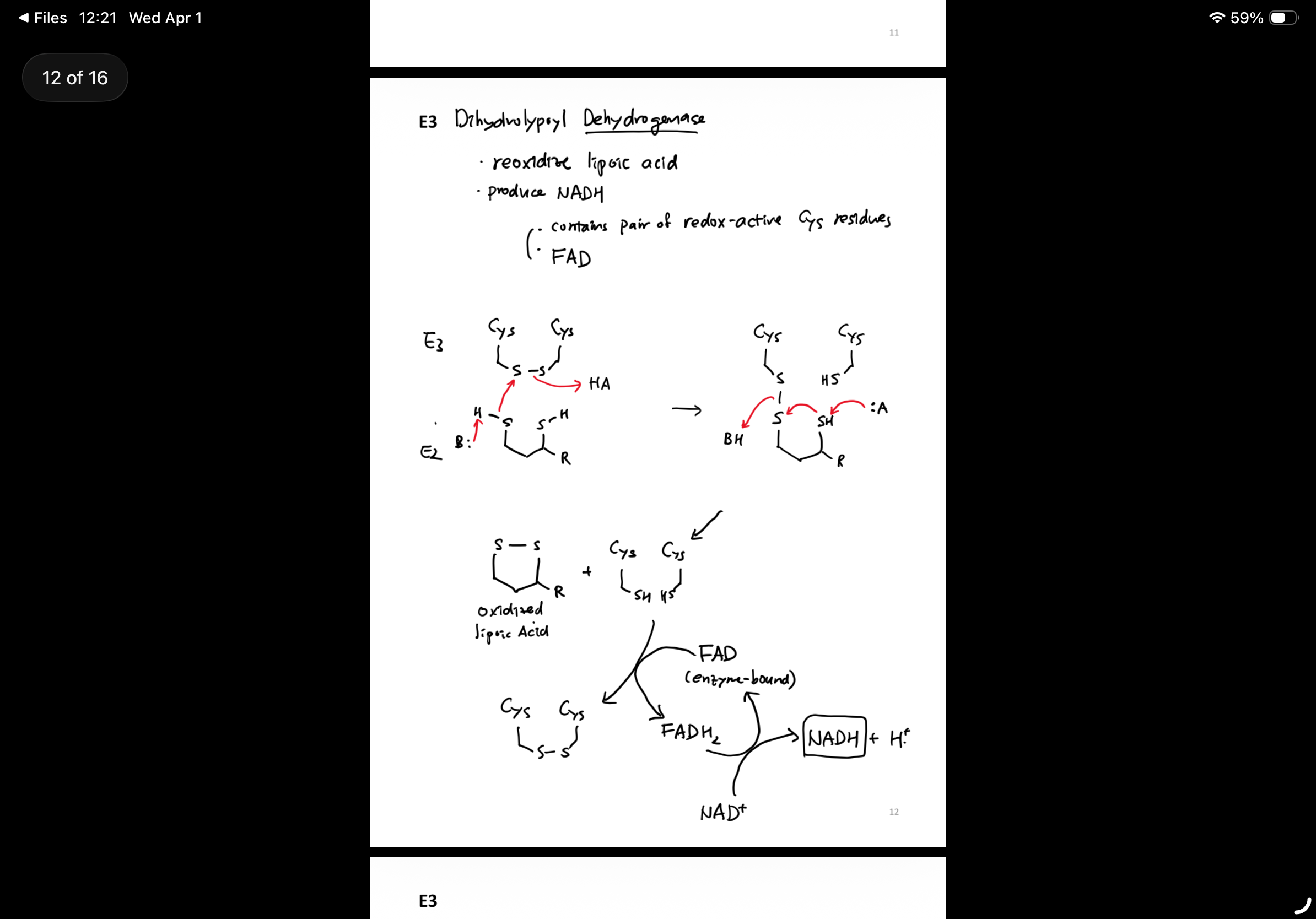 knowt flashcard image
