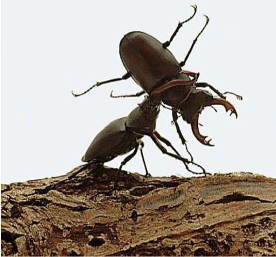 <p>What is this an example of?</p>