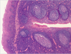 <p>What does this image show?</p>