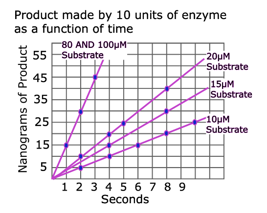 <p>What is the Km of this enzyme?</p>
