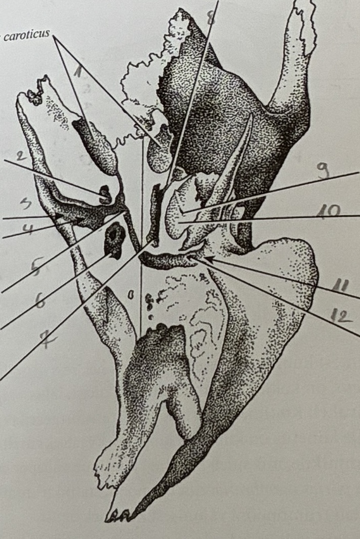 <p>4</p>