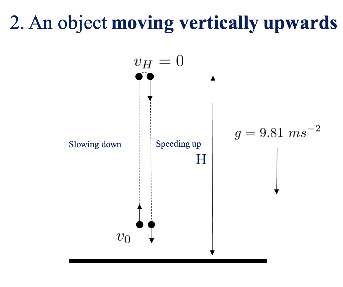 <p>It slows down as gravity pulls downward.</p>