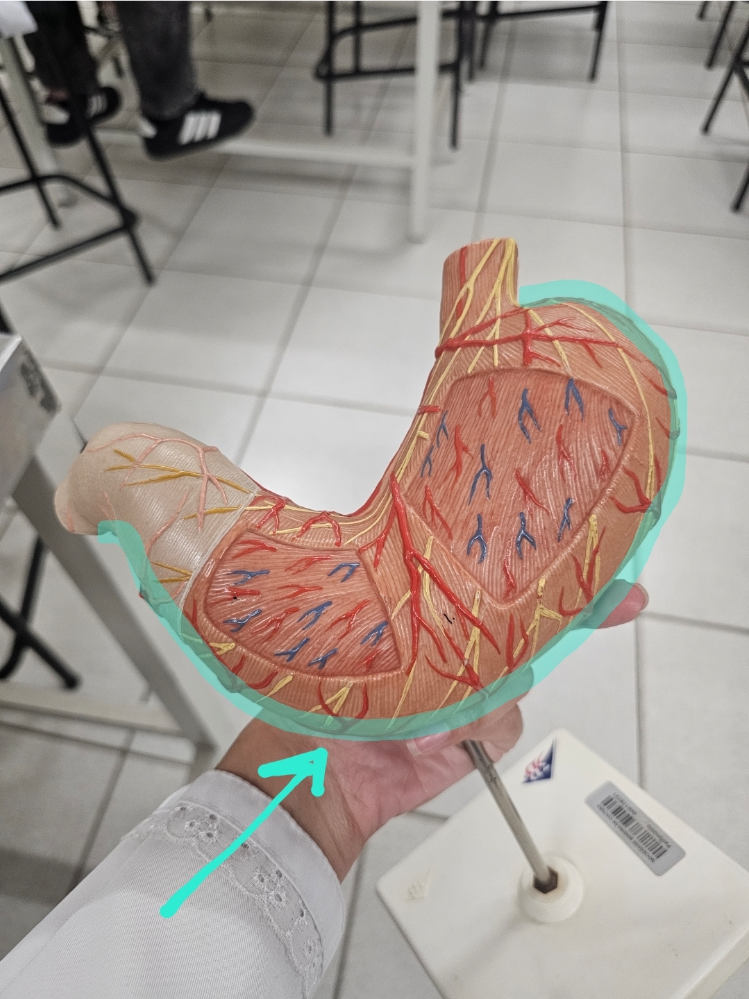 <p>Qual é o nome?</p>