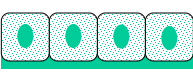 <p>What type of shape?</p>