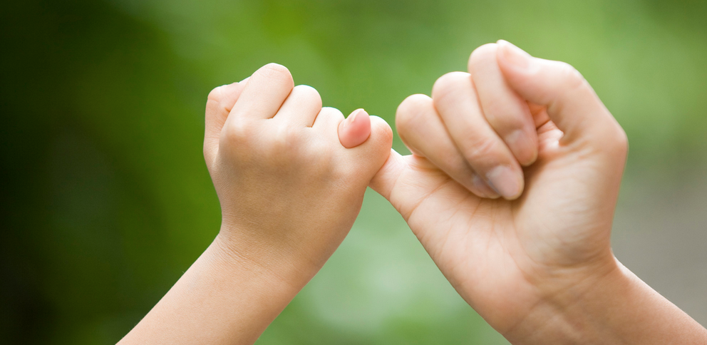 <p>A declaration or assurance that one will do something, represented with an image of a handshake or agreement.</p>