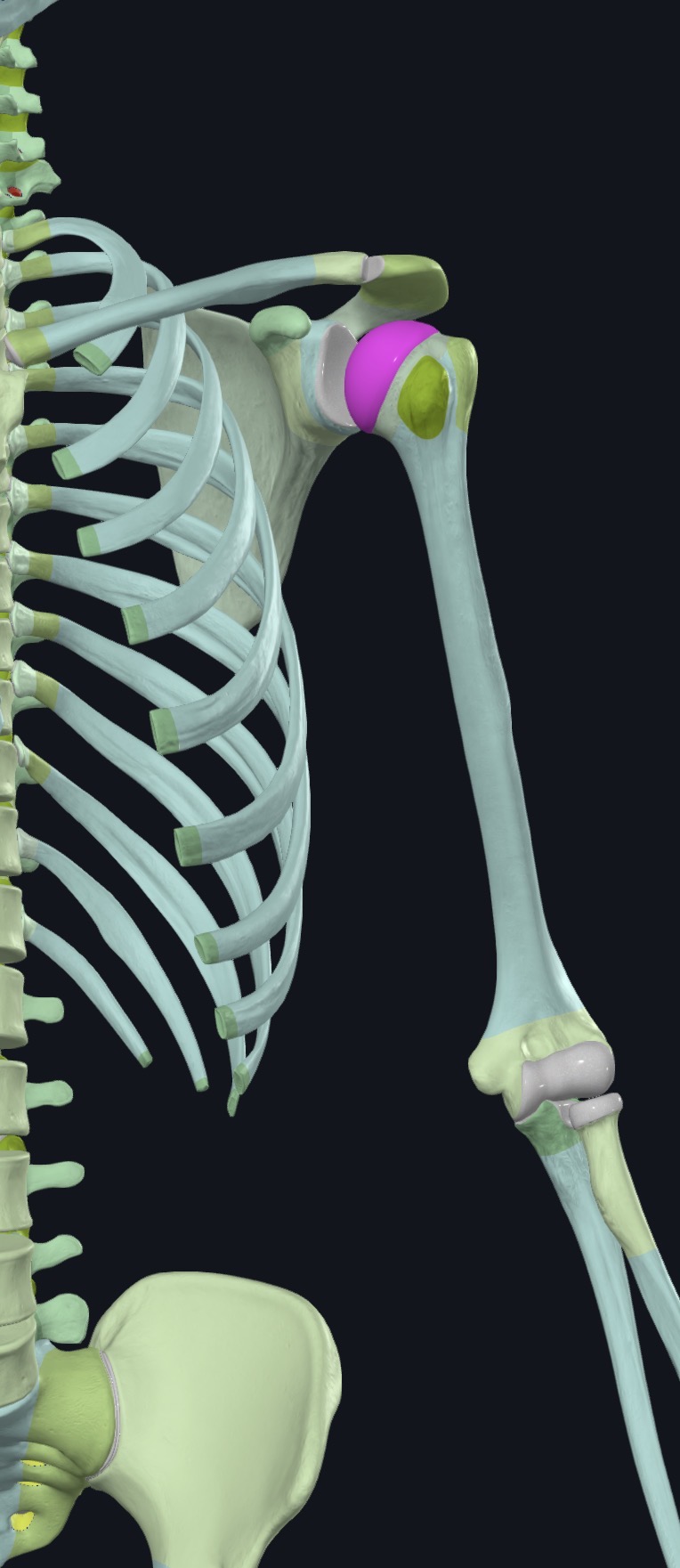 <p>what is this?</p>