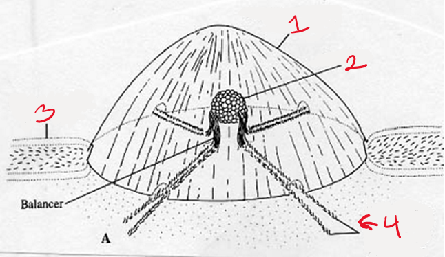 <p>What is 3</p>