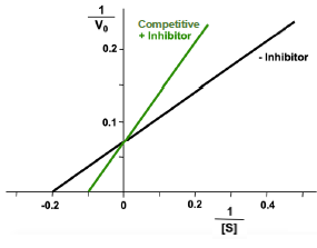 <p>effector binds to the free enzyme and blocks the active site so that the substrate cannot bind</p>