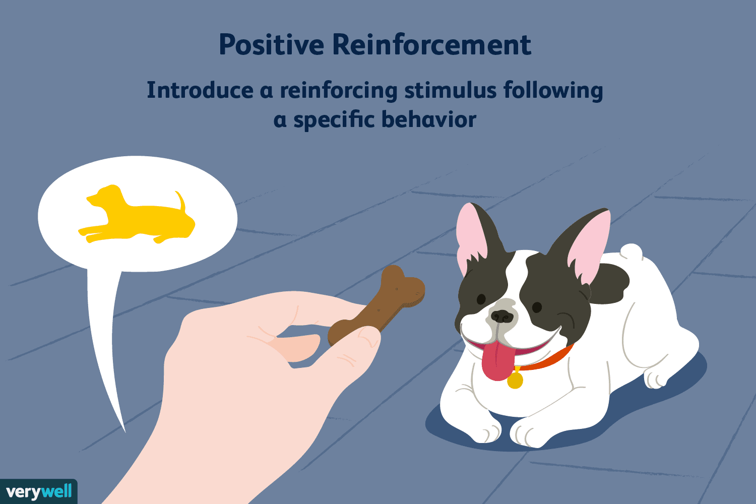 <p>A pleasant stimulus is added after the behavior, making that behavior more likely to happen again</p>
