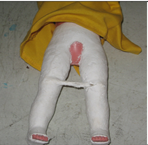 term image