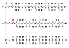 <p>a lipid made of three fatty acid molecules and one glycerol molecule</p>
