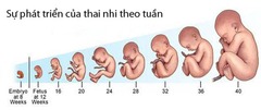 <p>(v) xử lý</p><p>(n) quá trình, quy trình</p>