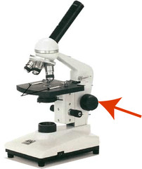 <p>Moves the nose piece up and down to focus the specimen; can only be used with scanning and low power objective lenses</p>
