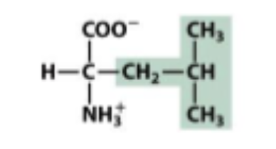 <p>Hydrophobic</p>