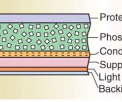 <ol><li><p>Protective layer</p></li><li><p>2. Phosphor layer </p></li><li><p>3. Conductor layer</p></li><li><p>4. Support layer</p></li><li><p>5. Light shield layer</p></li><li><p>6. Backing layer</p></li></ol><p></p>