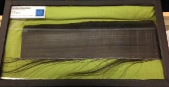 <p>Bowhead Whale Baleen Specimen Fast Facts</p>
