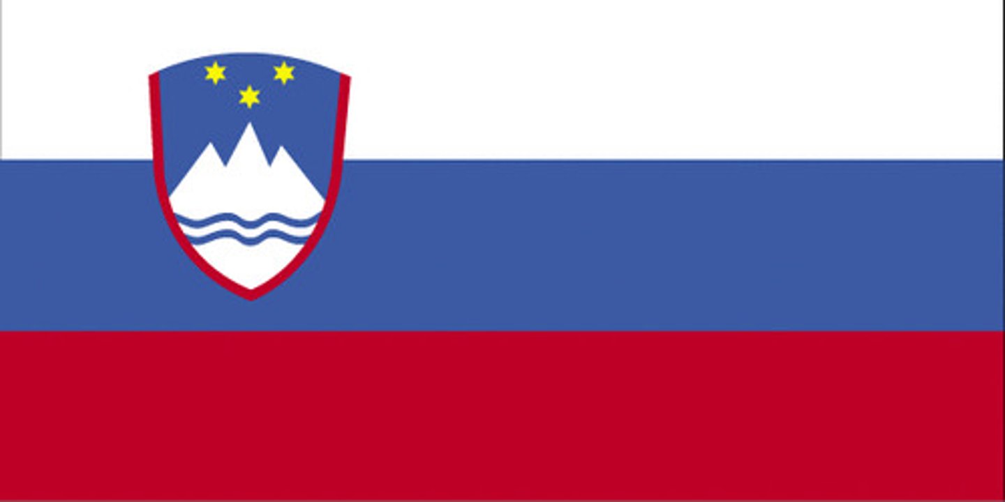 <p>la Slovénie, slovène, un Slovène (3x)</p>
