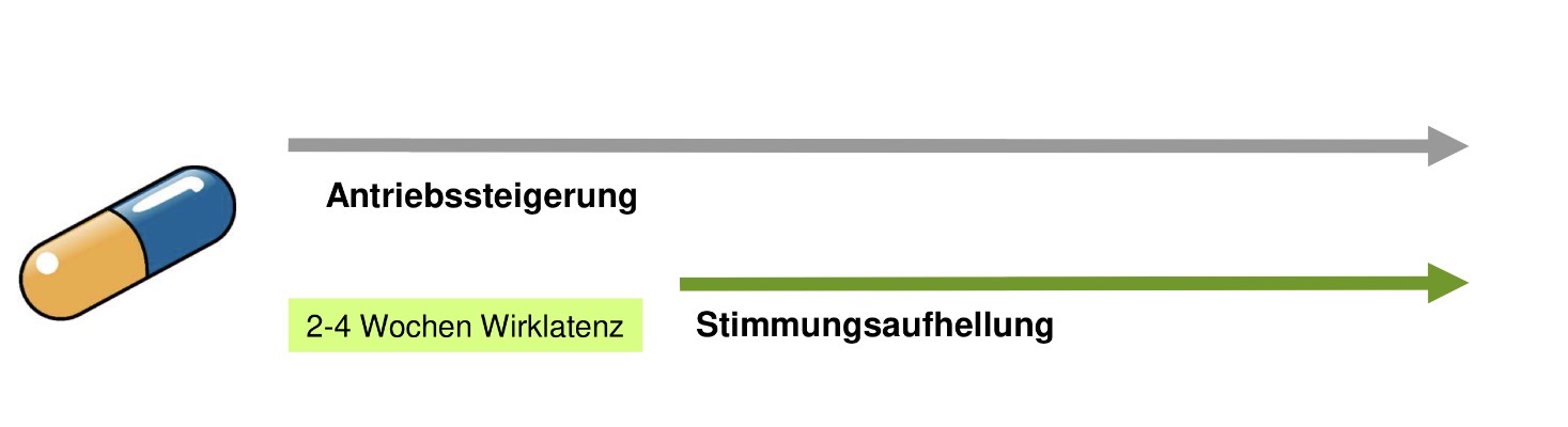 <p>Antidepressiva zeigen eine zeitlich versetzte Wirkung: Die Antriebssteigerung tritt früh ein, die eigentliche Stimmungsaufhellung erst nach 2–4 Wochen Wirklatenz. In dieser Übergangsphase (mehr Antrieb, aber noch gedrückte Stimmung) steigt das Risiko, dass suizidale Gedanken erstmals in die Tat umgesetzt werden können – ein zentraler Grund für engmaschige Überwachung zu Therapiebeginn.</p><p></p><p>Suizid als Nebenwirkung </p><p>Bei ANtidepressiva, Antipsychotika, Antiepileptika, Anti-Malaria Arzneimittel, Interferone</p>