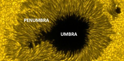 <p><span style="background-color: transparent;">The umbra (dark shadow) is darker and cooler (4000K). The penumbra (light shadow) is the lighter bit and is a bit hotter than the umbra (5600K). </span></p>