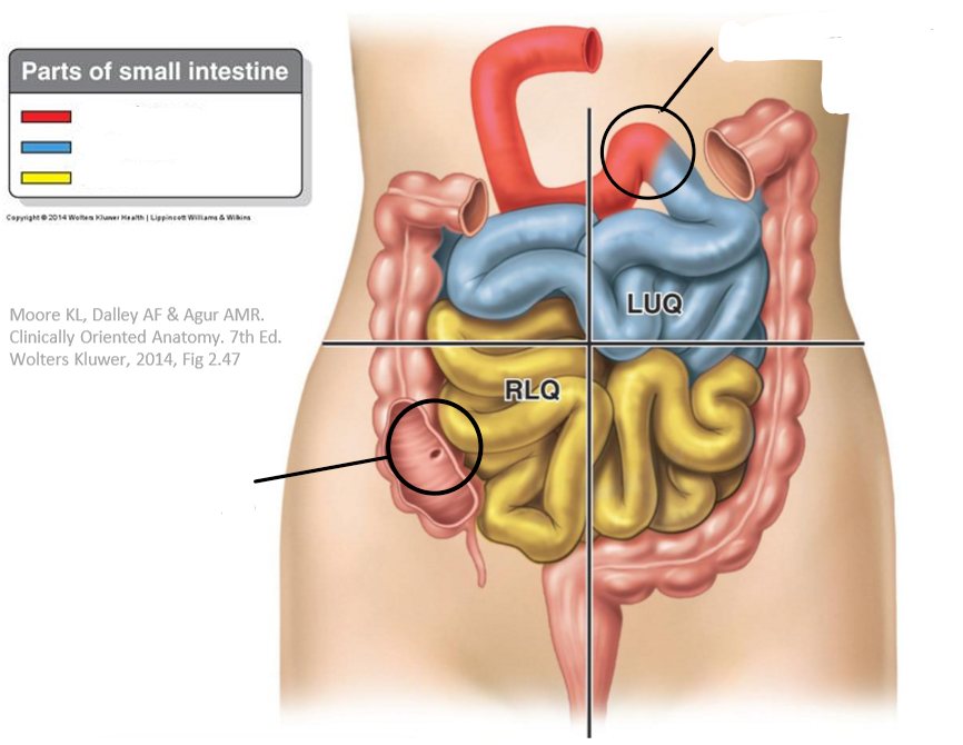 <p>Label the following diagram</p>