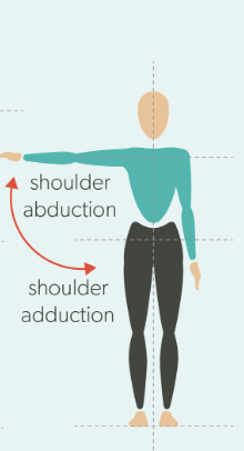 <p>shoulder adduction</p><p></p>