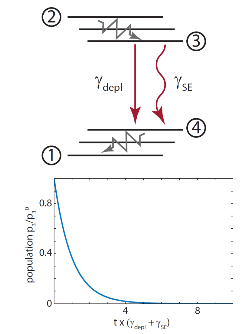 <ul><li><p>Start in excited state (with certain probability), turn on depletion laser</p></li><li><p>Exponential decrease of population as function of time</p></li><li><p>Depletion field “helps“ spontaneous emission</p></li></ul><p></p><p>depletion = exp(-t/tau)</p><p>tau = rate_depl + rate_SE</p>