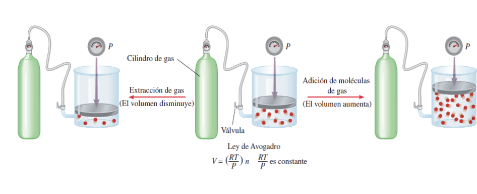 <p>Relaciona el volumen y la cantidad de gas</p><p>V α moles del gas (n)</p><p></p><p>A presion y temp. constantes, el volumen de un gas es directamnete proporcional a la cantidad de moles de gas presente</p>