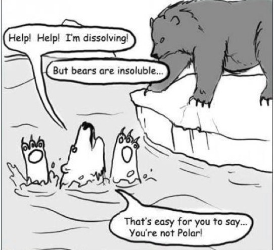 <p>What is a hydrophilic molecule?</p>